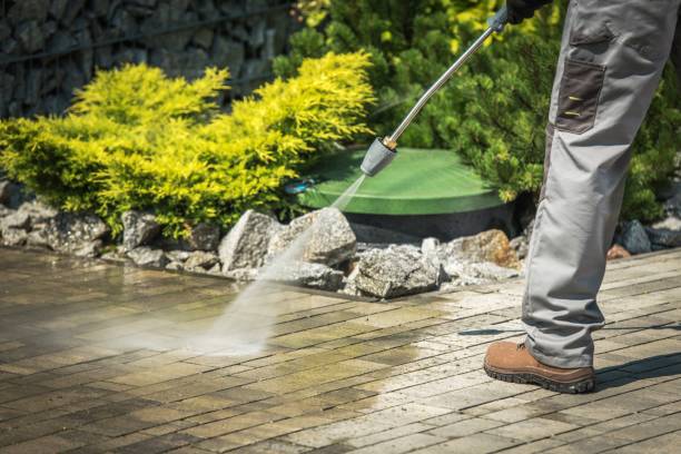Best Sidewalk and Walkway Cleaning  in Pullman, WA